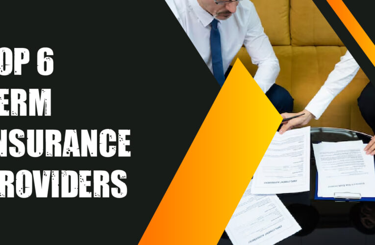 Top 6 Term Insurance Provider Companies in the USA