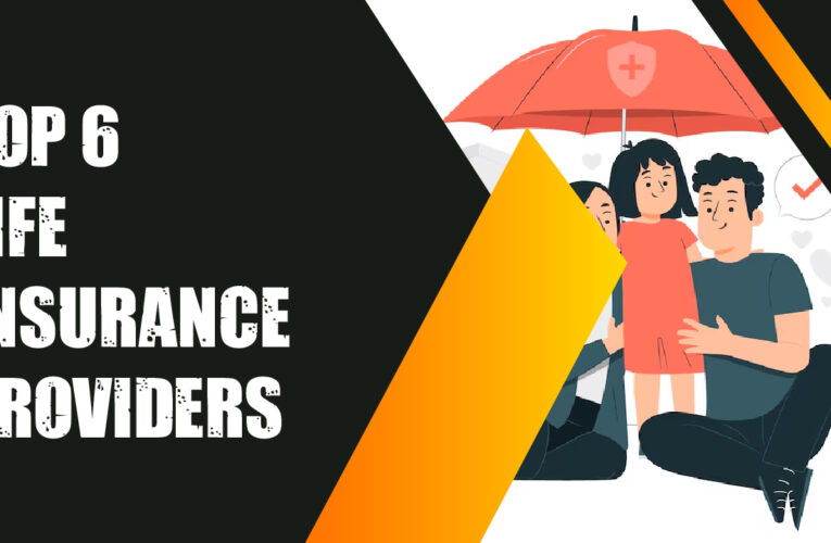 Top 6 Life Insurance Provider Companies in the USA