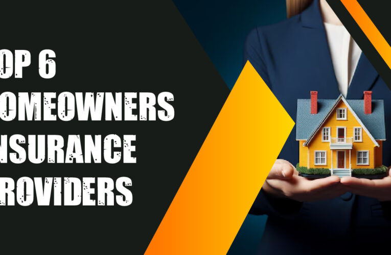 Top 6 Homeowners Insurance Provider Companies in the USA